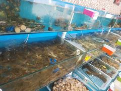 -港畔赶海蒸汽海鲜烧烤自助(仙螺岛店)