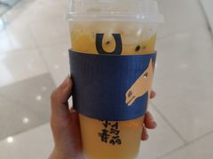 小马橙百香-春丽小马(济南恒隆广场店)