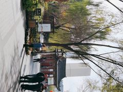 -文瀛公园