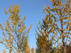 -西海子公园