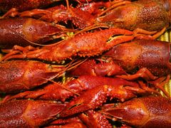 酒醉龙虾-龙虾奇迹(大华三路店)