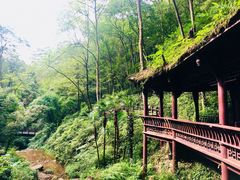 景点-青城山