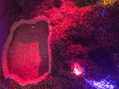 -碧中海汤泉汗蒸酒店