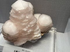 -湖南省地质博物馆