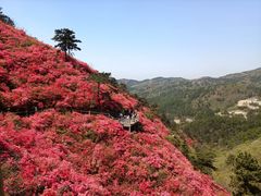 -木兰云雾山