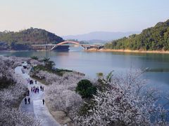 -广州市流溪河国家森林公园