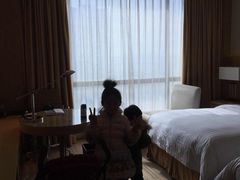 博顿温德姆酒店-徐州博顿温德姆酒店(高铁东站店)