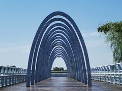 -大兴滨河森林公园