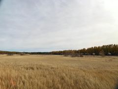 -塞罕坝国家级自然保护区