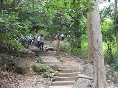 -火炉山森林公园