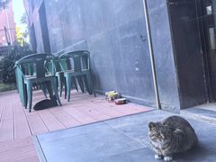 -北京德胜门华宇假日酒店·画廊咖啡厅