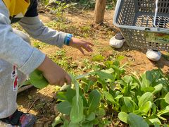 -武汉开心果园农业发展有限公司