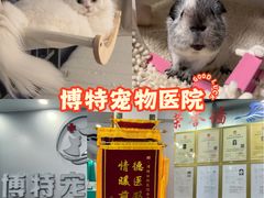 -博特宠物医院24h犬猫全科.骨科·异宠