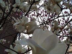 -千日贺茶餐厅(高新万达店)