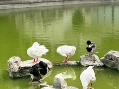 -舜耕山庄四时万和自助餐厅