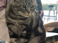 -平行世界·猫咖(首经贸店)