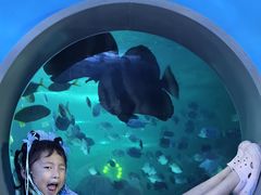 -常州海昌海洋探索馆