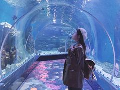 -顺德南宏海立方海洋公园