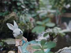 -谷咖啡·鲜花绿植花园餐厅