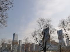 -天鹅湖体育公园