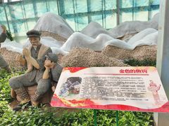 -兰陵国家农业公园