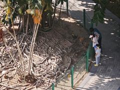 -三亚海棠湾万丽度假酒店