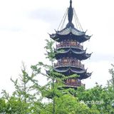 终于找到了松弛感拉满的意式餐厅，超级适合约会
