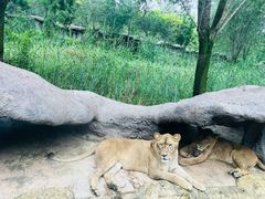 -北京野生动物园