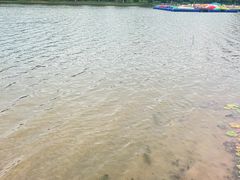 -上海鲜花港