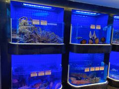 -協成海鮮火鍋(老店)