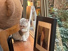 -咖法森林·咖啡  酒吧(天河店)