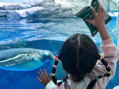 -华夏文旅西安度假区