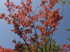 -周口店坡峰岭风景区