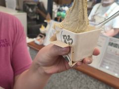 -野人先生Gelato(上海长宁龙之梦店)