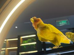 -小菜园新徽菜(青岛市南万象城店)