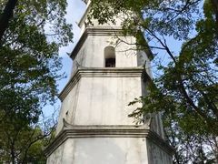 -南山植物园