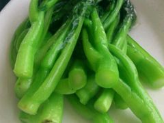 菜心-云中小雅