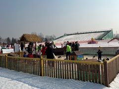 -绿野森林乐园冰雪季