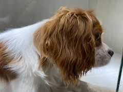 -乐宠宠物店(世纪金源店)