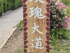 -太阳宫公园