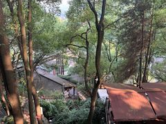 -巴倒烫陆派重庆火锅(南山店)