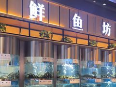 -老船舫·现做活鲜鱼馆(东郊记忆店)
