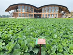 -中国天府农业博览园