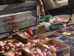 -沈老头包子(八十五店)