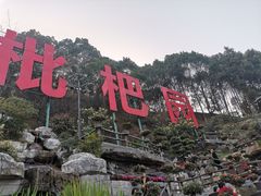 -枇杷园食为鲜火锅(南山店)