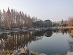 -泰州凤城河风景区-泰山公园