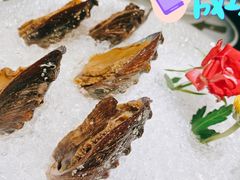 手工冰镇鲍鱼-木棉·醉心粤味(COCO Park店)