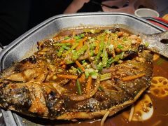 -马邦子·紫苏烤鱼(恒隆广场店)