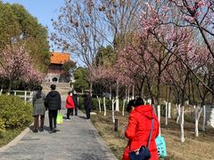 -沙市市中山公园