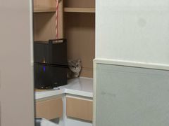 -谐和益家动物医院·免疫绝育·血液透析·宠保定点医院(高新伊藤分院)